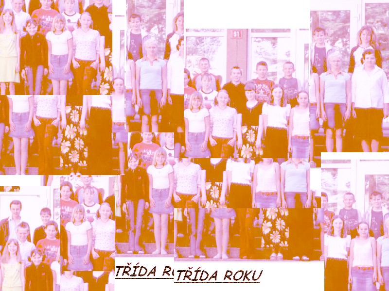 2533896.jpg